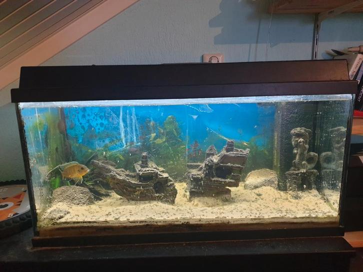 Aquarium met decoratie, Dieren en Toebehoren, Vissen | Aquaria en Toebehoren, Leeg aquarium, Ophalen