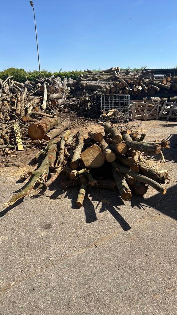 Partijtje inlands eiken., Tuin en Terras, Haardhout, Minder dan 3 m³, Ophalen, Eikenhout, Stammen