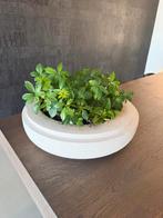 Serax schaal Piet Boon Volumes, Huis en Inrichting, Woonaccessoires | Vazen, Ophalen, Zo goed als nieuw, Overige kleuren, Minder dan 50 cm