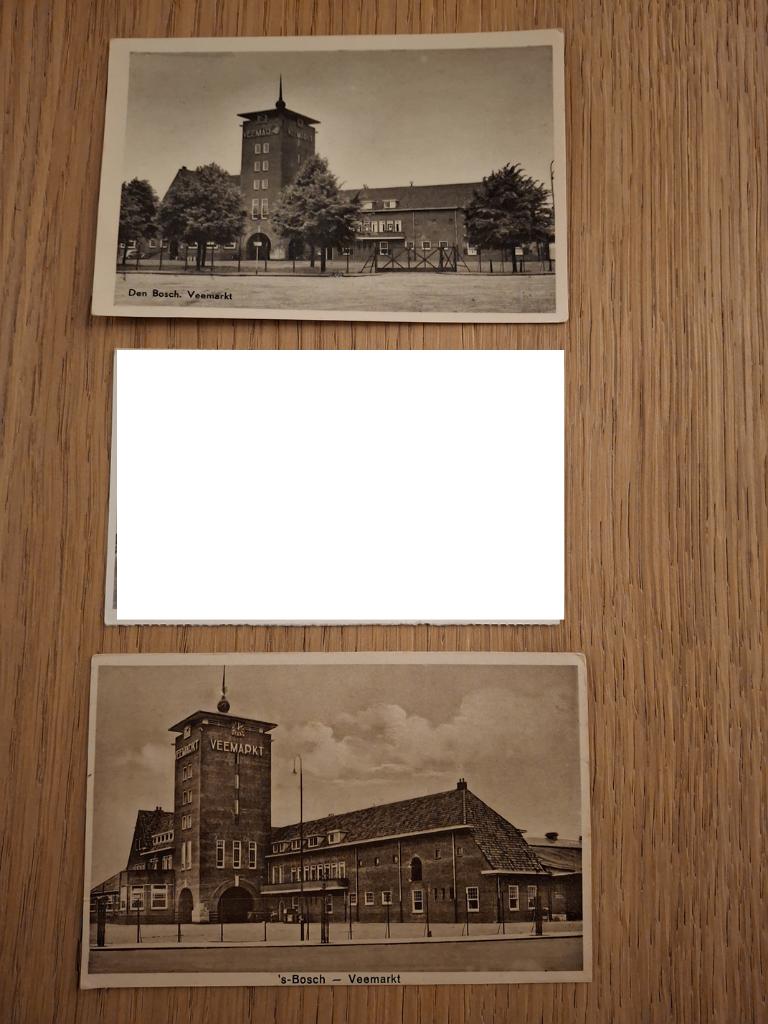 Ansicht den bosch / s-hertogenbosch veemarkt, Verzenden, Voor 1920, Gelopen, Noord-Brabant