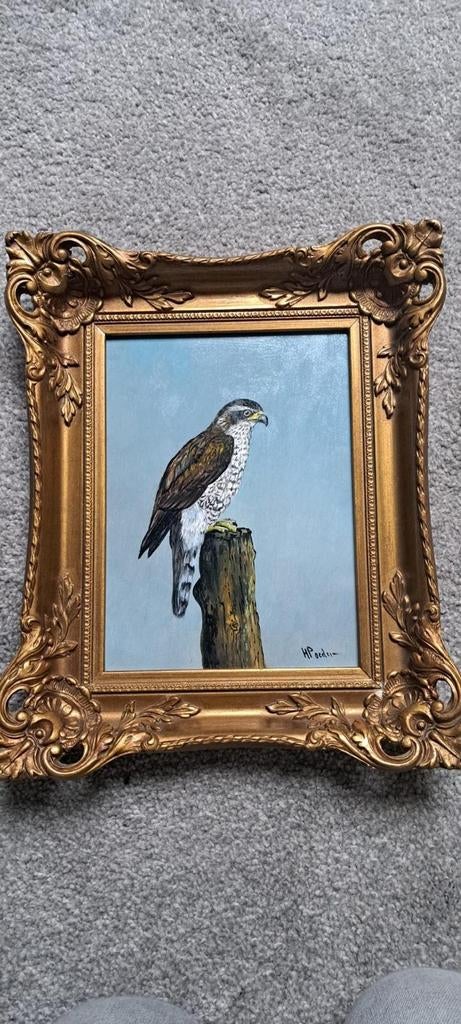 Schilderij Havik van Henk Poeder met lijst, Antiek en Kunst, Kunst | Schilderijen | Klassiek, Ophalen of Verzenden