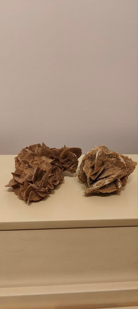 Woestijnroos - 2 stuks, Ophalen of Verzenden, Mineraal