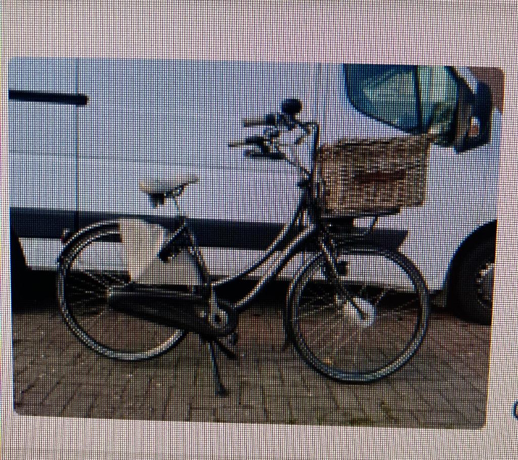 e bike, Ophalen, Sparta, Gebruikt, 51 tot 55 cm