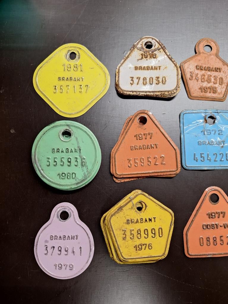 Fietstaksplaatjes, Ophalen of Verzenden, Overige typen