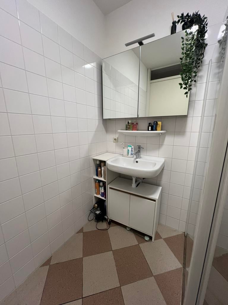 Spiegelkast, Ophalen, Wastafel