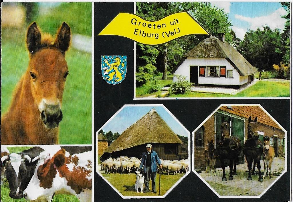 A79 gelopen ansichtkaart groeten uit Elburg, Ophalen of Verzenden, 1980 tot heden, Gelopen, Gelderland