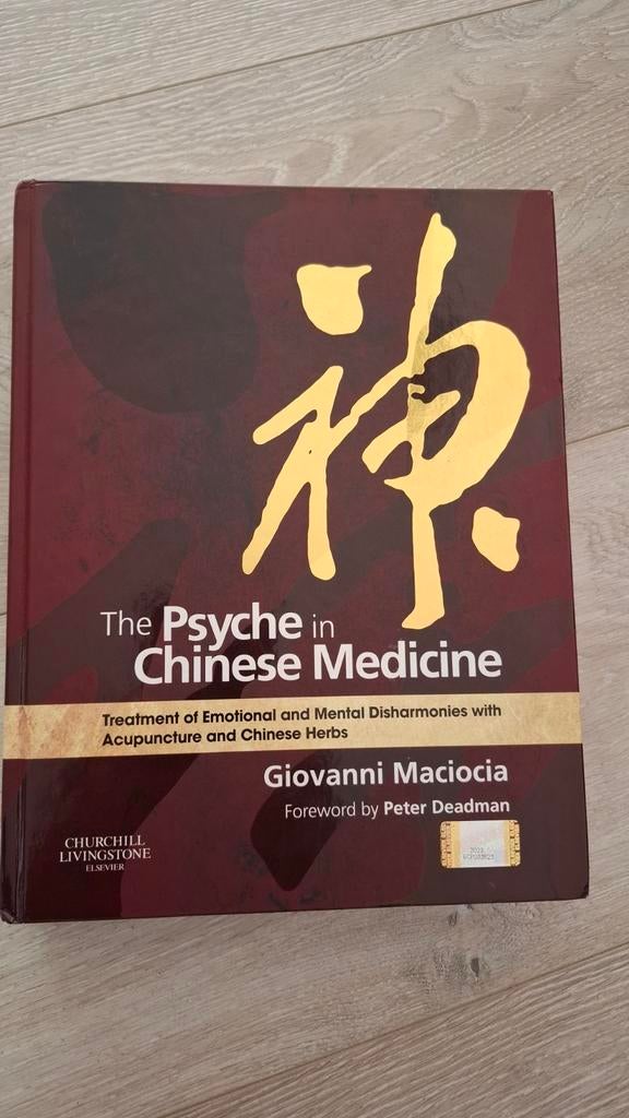 The Psyche in Chinese Medicine - Giovanni Maciocia, Boeken, Ophalen of Verzenden