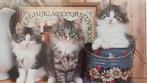 Puzzel Norwegian Cats  84,3 x 59,2cm 1500 st. (Nieuw), Ophalen of Verzenden, 500 t/m 1500 stukjes, Nieuw, Legpuzzel