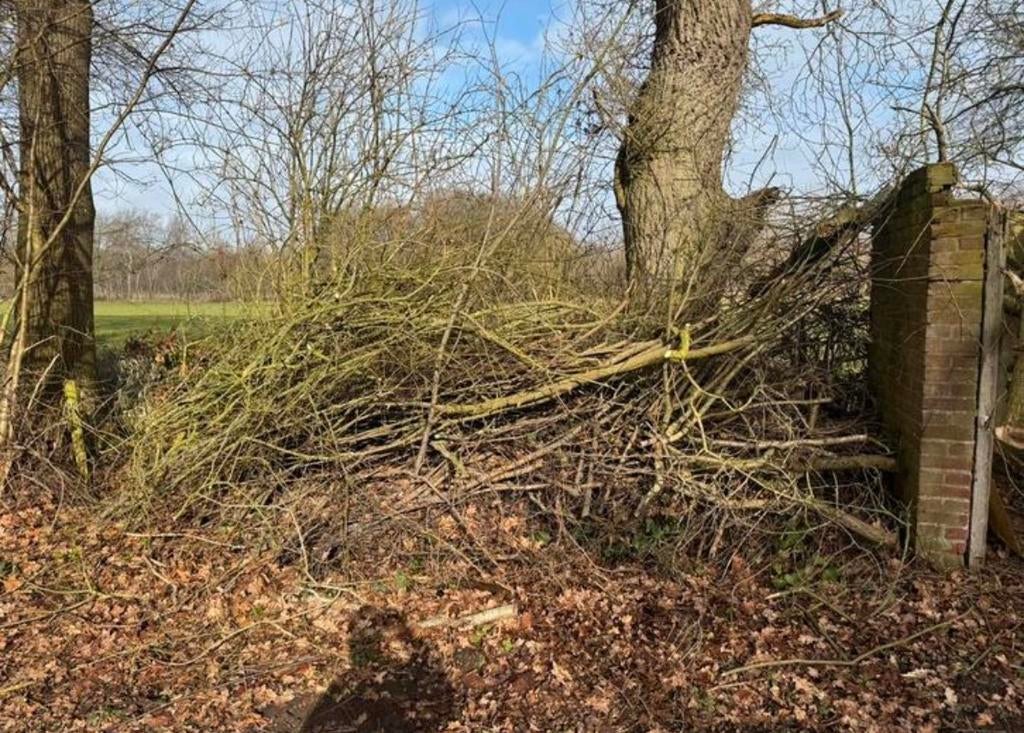 Snoeiafval / Bomen kappen / Paasvuur / Tuinman Gezocht, 6 m³ of meer, Ophalen, Berkenhout, Takken