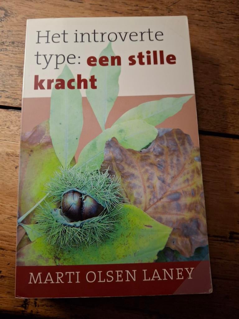 M. Olsen Laney - Het introverte type, Boeken, Gelezen, M. Olsen Laney, Ophalen of Verzenden, Ontwikkelingspsychologie