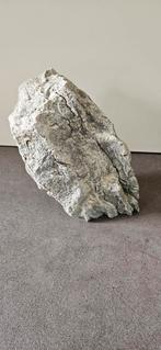 Aquarium decoratie kunstrots, Vis