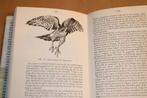 De Havik — Leven en Jacht van een Roofvogel, Ophalen of Verzenden, Gelezen, Vogels