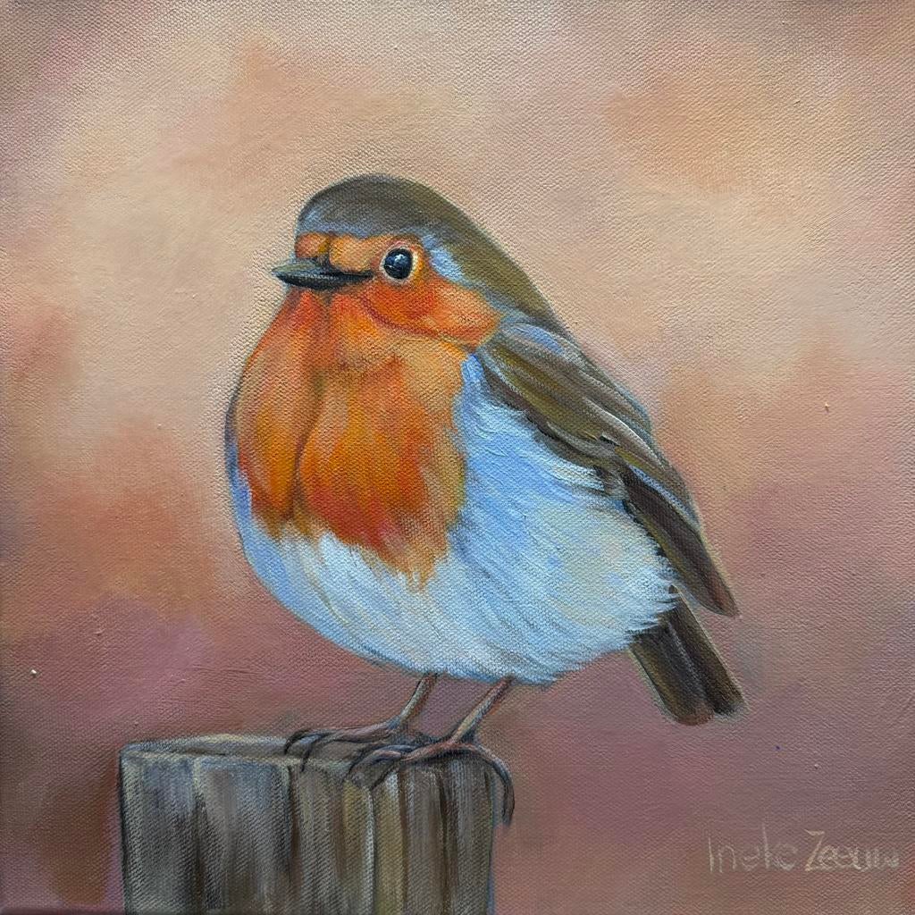 Schilderij roodborstje acrylverf op doek, Ophalen of Verzenden