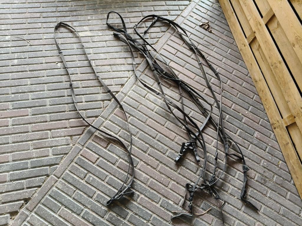 Teugels, Dieren en Toebehoren, Ophalen of Verzenden, Gebruikt