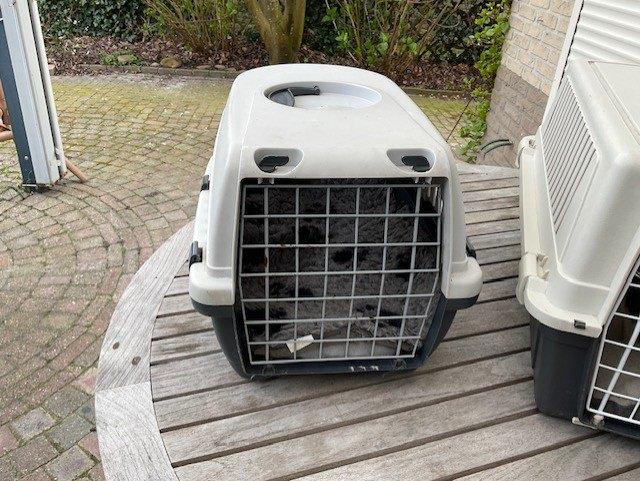 Bench voor hond of kat, Ophalen, Gebruikt