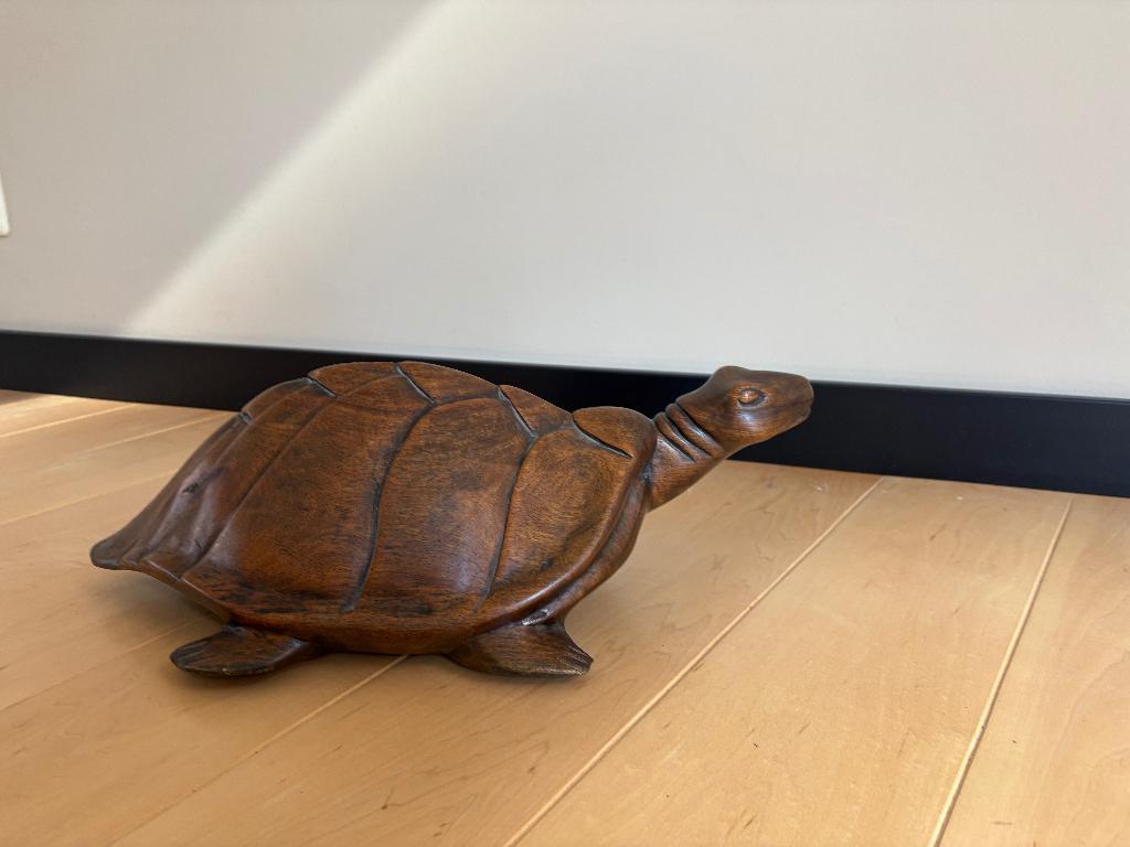 Afrikaanse Schildpad (Gambia), Antiek en Kunst, Ophalen