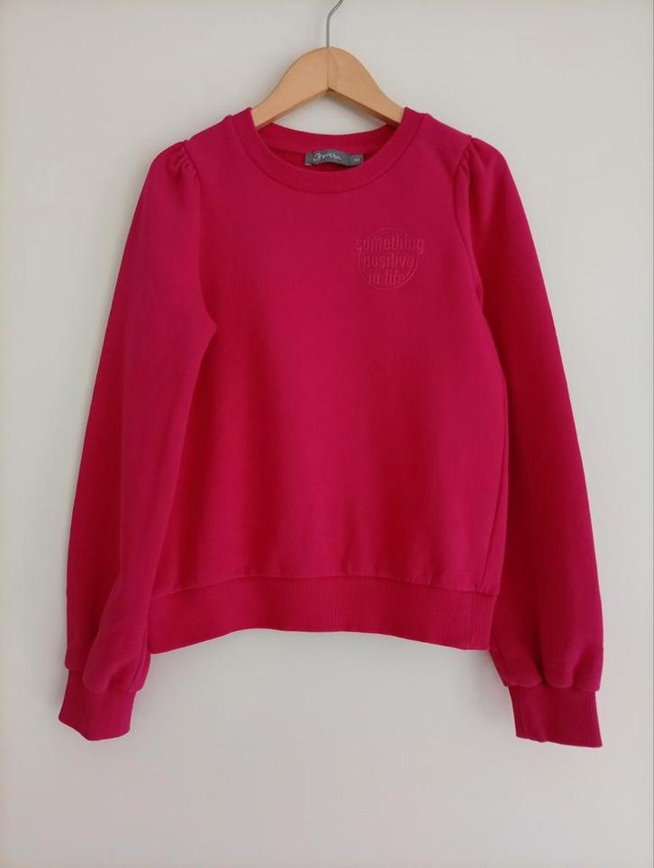 Geisha sweater / trui roze maat 152, Kinderen en Baby's, Kinderkleding | Maat 152, Gebruikt, Meisje, Trui of Vest, Ophalen of Verzenden