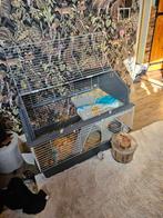 Cavia konijnenkooi 3 laags, Dieren en Toebehoren, Ophalen of Verzenden, Kooi, Cavia, Minder dan 60 cm