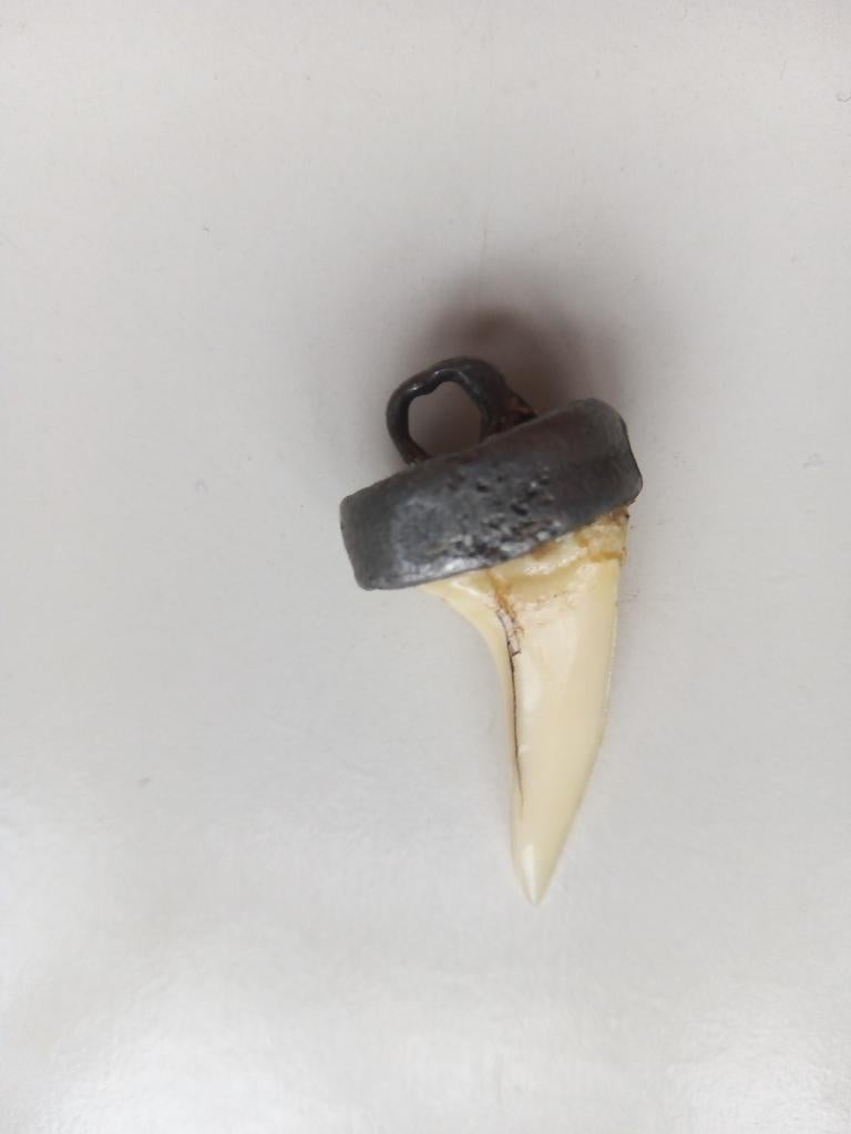 vintage imitatie haaien/tand ketting/hanger uit de jaren 70, Overige materialen, Gebruikt, Ophalen of Verzenden, Overige kleuren