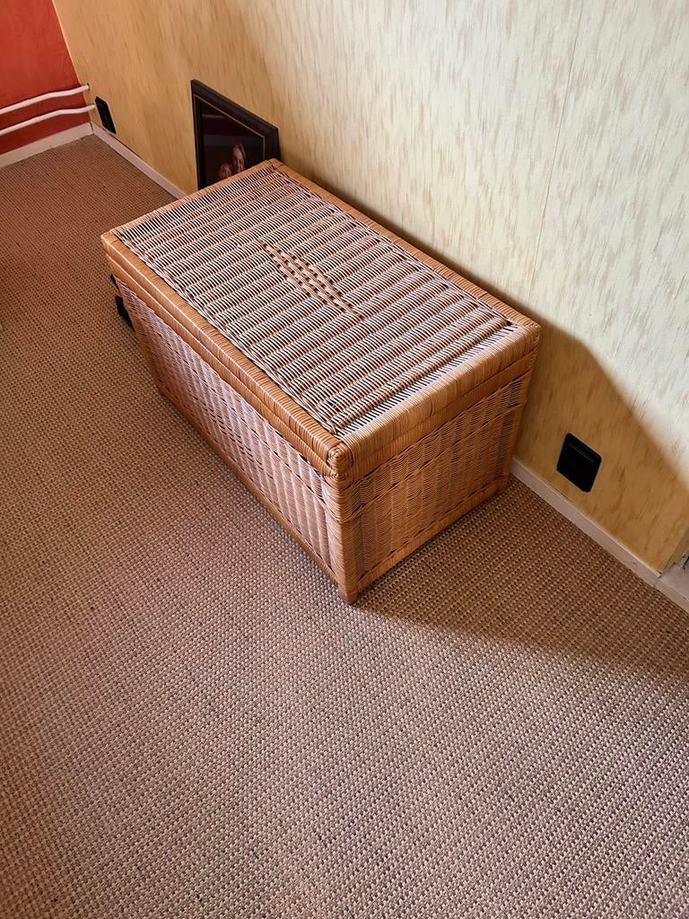Rieten kist, Huis en Inrichting, Woonaccessoires | Kisten, Ophalen, Overige materialen, Gebruikt, 50 tot 100 cm