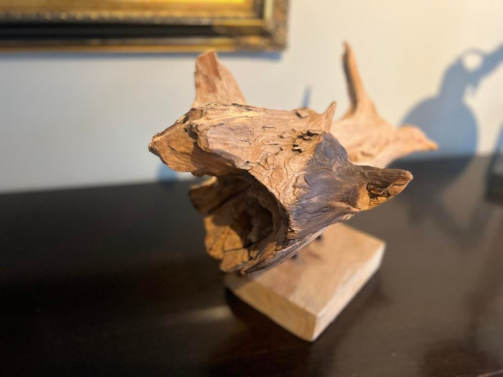 * 2 Unieke drijfhout sculptuur op standaard, Ophalen of Verzenden, Zo goed als nieuw