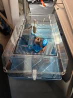 Hamsterhok, Dieren en Toebehoren, Knaagdieren en Konijnen | Hokken en Kooien, Gebruikt, Minder dan 75 cm, Hok, Ophalen