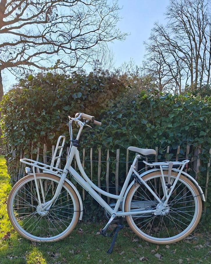 Dames Batavus transportfiets, Fietsen en Brommers, Fietsen | Dames | Damesfietsen, Gebruikt, Batavus, 50 tot 53 cm, Ophalen