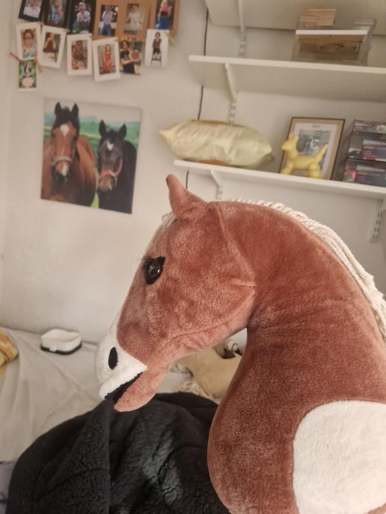 Hobbyhorse flach (lemieux), Verzamelen, Efteling, Ophalen of Verzenden