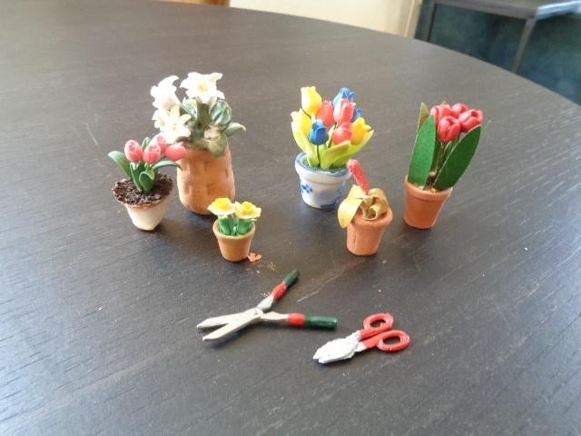 Bloemen, planten en gereedschap voor een poppenhuis., Verzamelen, Poppenhuizen en Toebehoren, Ophalen of Verzenden, Poppenhuis