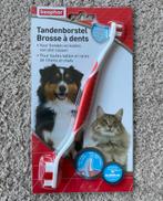 Beaphar Tandenborstel Honden/Katten, Ophalen of Verzenden, Nieuw