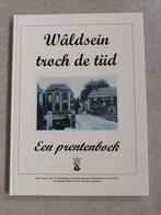 Woudsend oude foto's en ansichten, Ophalen of Verzenden, 1980 tot heden, Gelopen, Friesland