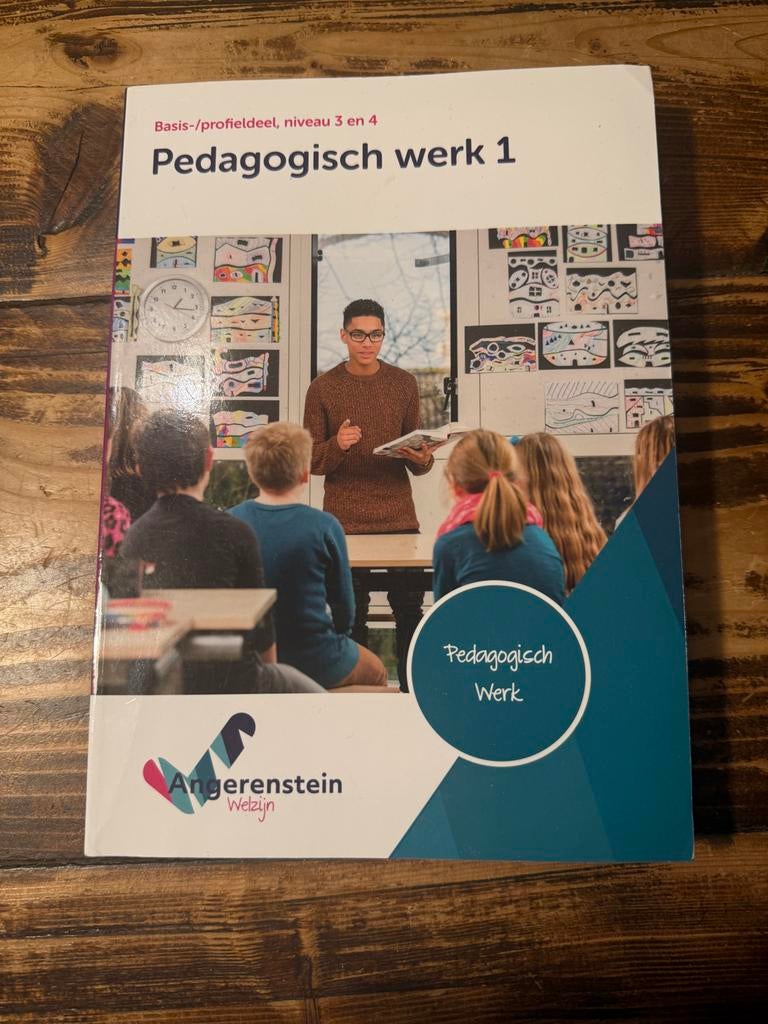 Pedagogisch werk 1 - Basis-/profieldeel niveau 3 en 4, Boeken, Schoolboeken, Ophalen of Verzenden, Gelezen, Overige niveaus, Overige vakken