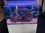 Zeeaquarium red sea 250 liter weg is weg !!!!!!, Dieren en Toebehoren, Vissen | Aquaria en Toebehoren, Ophalen of Verzenden, Gebruikt