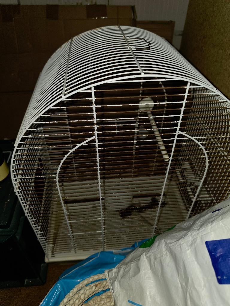 Kleine vogelkooi, Dieren en Toebehoren, Vogels | Hokken en Kooien, Ophalen, Gebruikt, Metaal, Vogelkooi