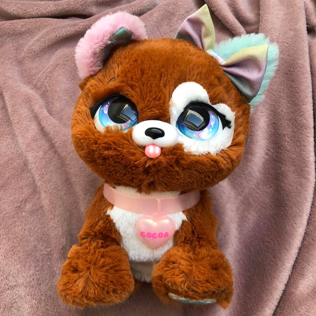 Present pets:  Cocoa, Ophalen of Verzenden, Gebruikt, Overige typen