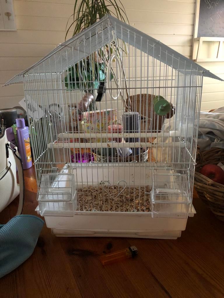 Vogelkooi compleet, Dieren en Toebehoren, Ophalen of Verzenden