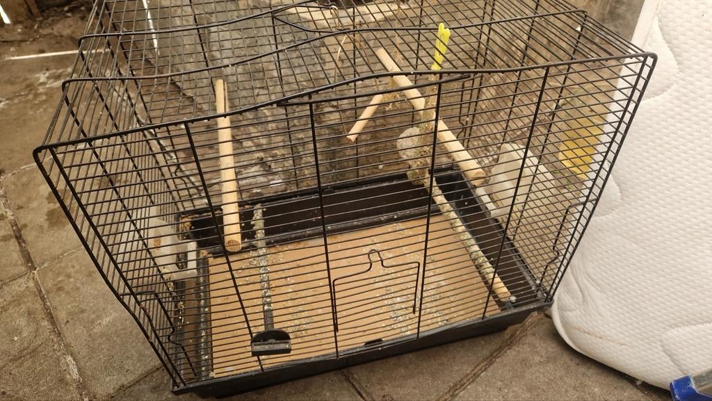 Vogel Kooi, Ophalen, Minder dan 65 cm