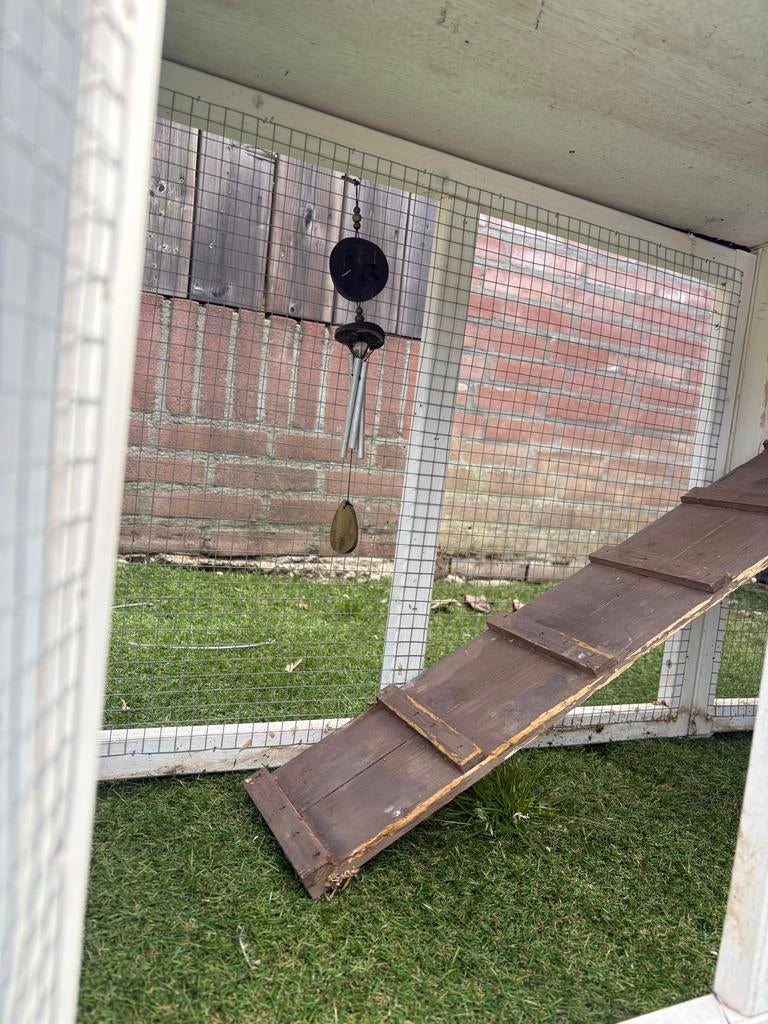 Knaagdieren hok met ren- Netjes en stevig!, Ophalen of Verzenden, 90 cm of meer, Hok, Cavia