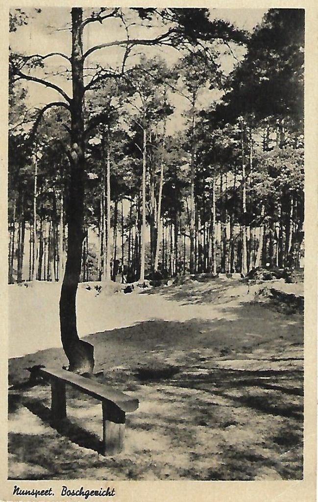 Nunspeet- -Boschgezicht., Verzenden, 1940 tot 1960, Gelopen, Gelderland