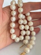 Bloedmooie Parel Ketting Enorm Zuidzee Barok Parels14K Goud, Ophalen of Verzenden, Nieuw, Wit, Goud