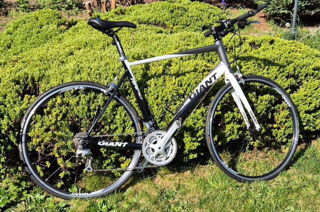 Giant Rapid Aluxx SL6000 - L -, Gebruikt, Velgrem, 57 tot 61 cm, Giant