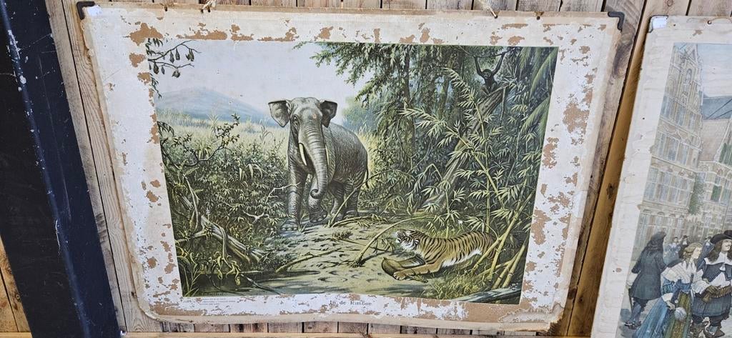 2 Oude Schoolplaten: Olifant & Haagsche Voorhout 17e eeuw, Ophalen, Natuur en Biologie