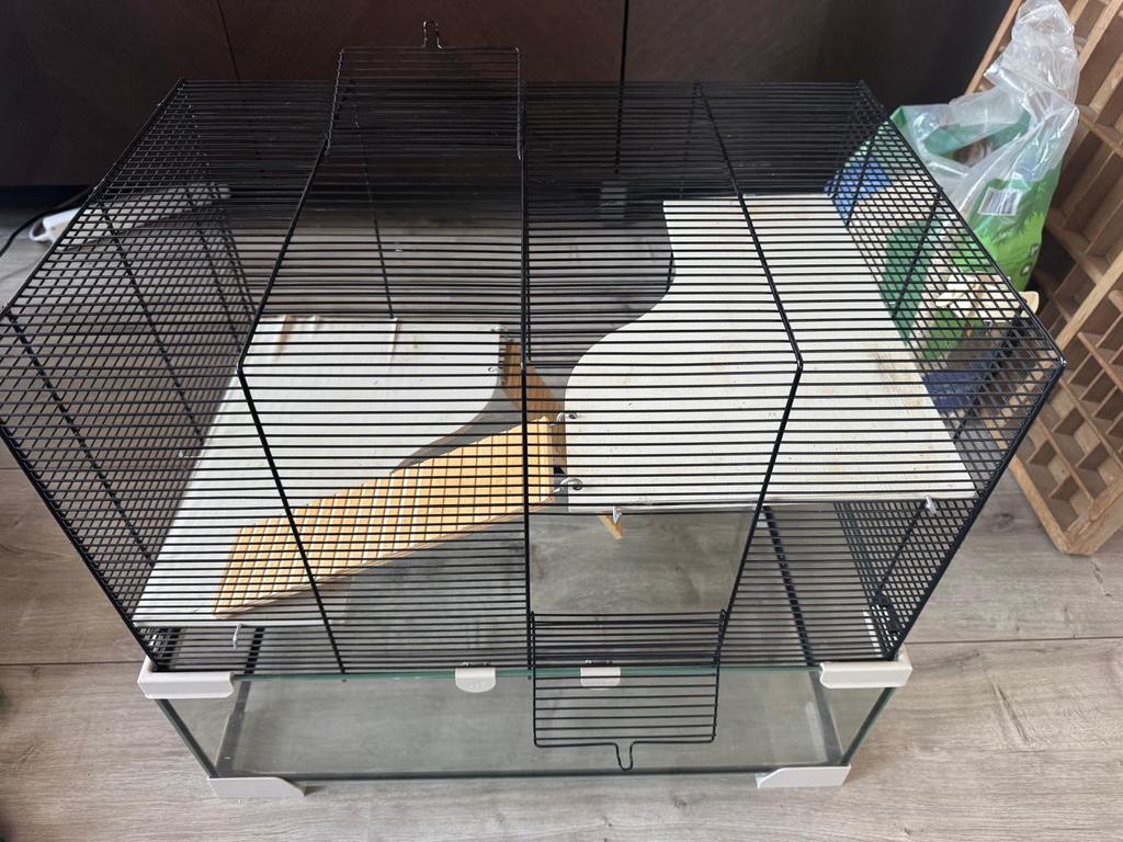 Glazen hamsterkooi met veel extra’s, Kooi, Gebruikt, Minder dan 75 cm, Hamster