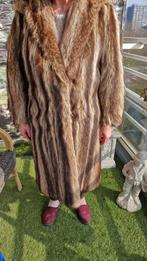 Prachtige lange langharige bonjas, Ophalen, Zo goed als nieuw, Maat 38/40 (M), Beige