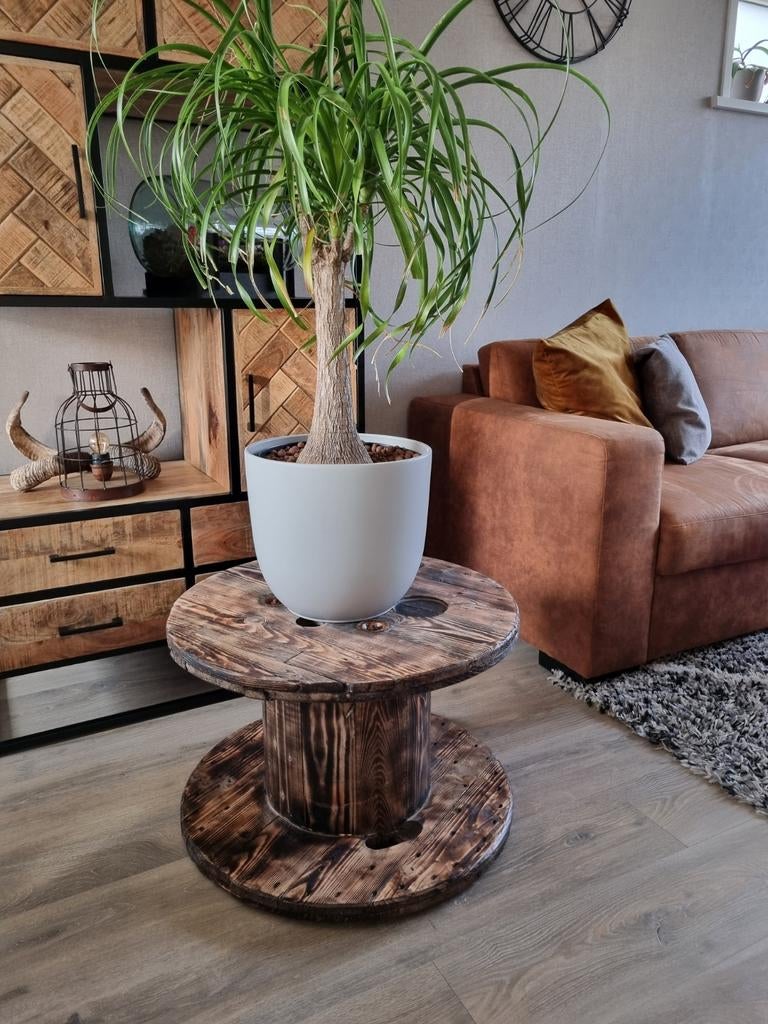 Bijzettafel / Plantentafel van kabelhaspel, Huis en Inrichting, Ophalen of Verzenden, Rond, Minder dan 55 cm, 60 cm of meer