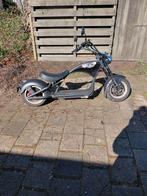 Mangosteen easyryder geel kenteken, Ophalen of Verzenden, Gebruikt, Overige typen