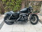 Harley Davidson 883 Iron Sportster - Volledig Custom Mat Zwa, Particulier, Chopper, LED Verlichting
