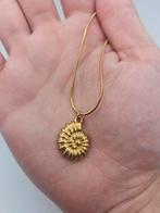 Stainless steel grote schelp ketting, Nieuw, Ophalen of Verzenden, Goud, Overige materialen