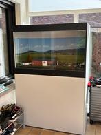 Vitrine kast voor maquettes, Gebruikt, Gelijkstroom of Wisselstroom, Brug, Tunnel of Gebouw, Ophalen