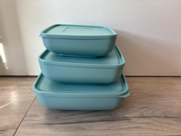 ZGAN Vershoudbakjes/Opbergbakjes beschikbaar voor biedingen
